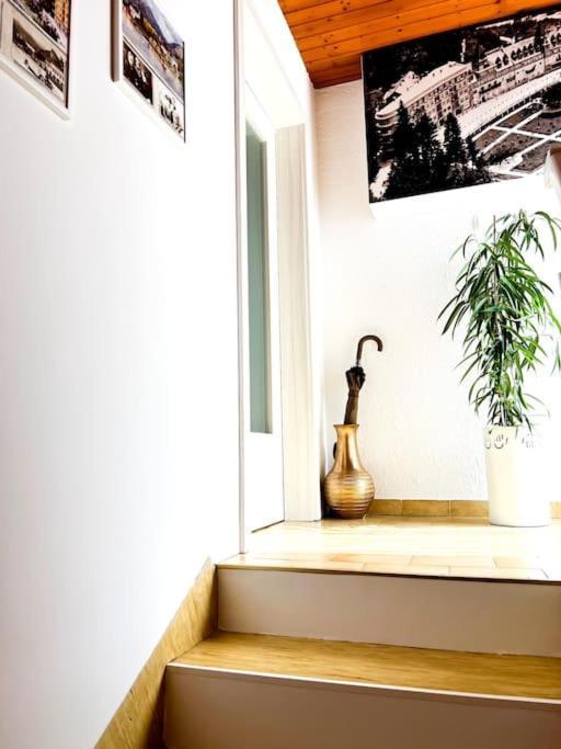 Apartma Kenda เบลด ภายนอก รูปภาพ